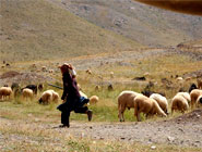 2day tour in high atlas